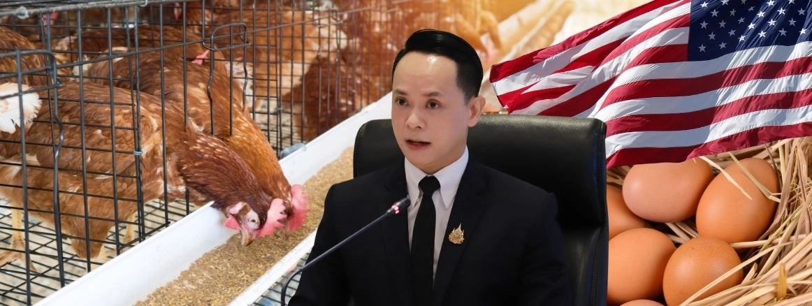 สนค. ถอดบทเรียนไข่ไก่สหรัฐฯ แนะใช้มาตรฐานความยั่งยืน เพิ่มโอกาสสร้างมูลค่าใหม่เจาะตลาดต่างประเทศ