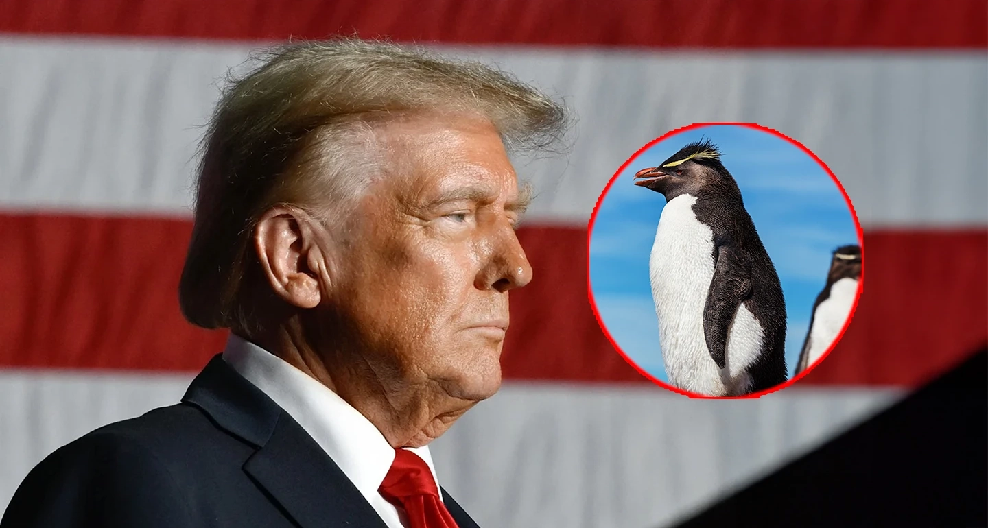 ทรัมป์ปะทะเพนกวิน! เมื่อภาษีนำเข้าบุกถึงเกาะที่มีแต่นกในชุดสูท