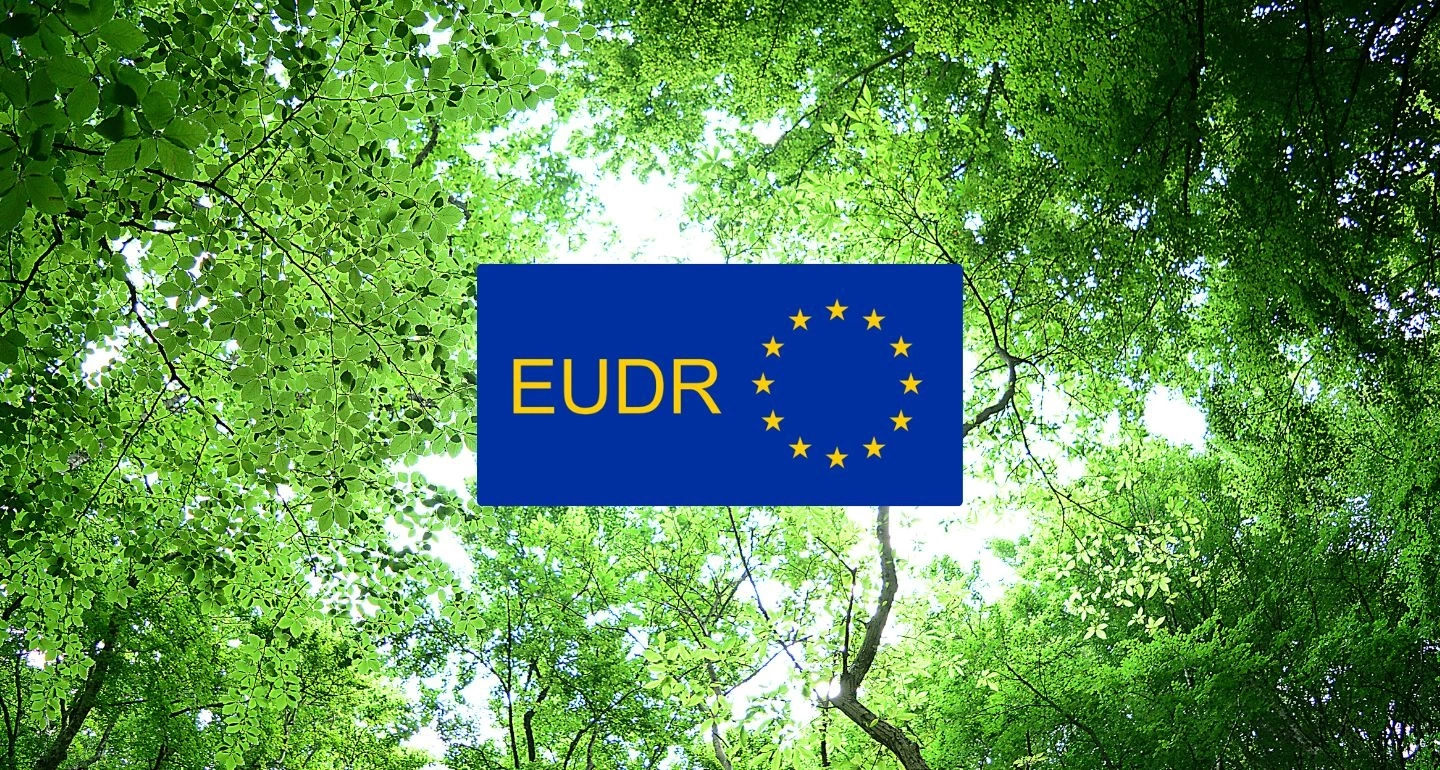 EUDR ปราการสีเขียวแห่งยุโรป: เมื่อ ‘ข้อมูลพิกัดที่ดิน’ กลายเป็นใบเบิกทางใหม่ของสินค้าไทย