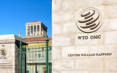 WTO ชี้ ภาษีตอบโต้ เกมอันตรายที่ไม่มีผู้ชนะ อะไรคือผลกระทบที่ซ่อนอยู่?